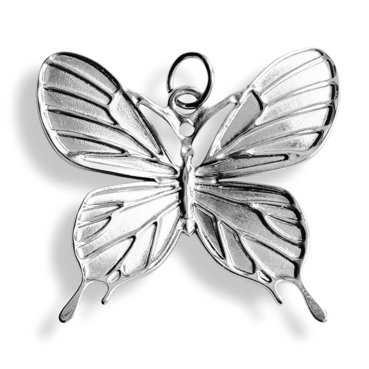 Grand papillon - charm