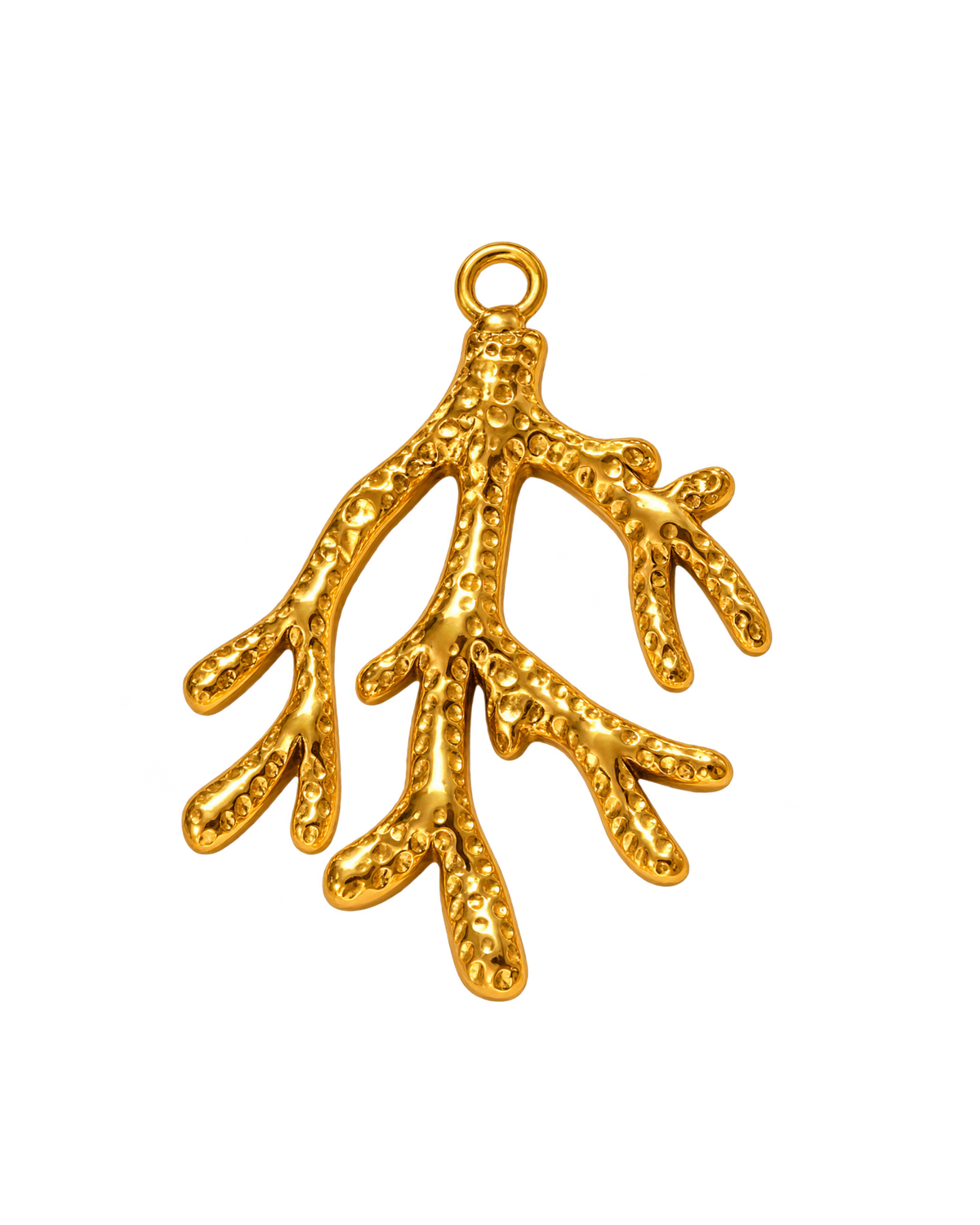 Corail