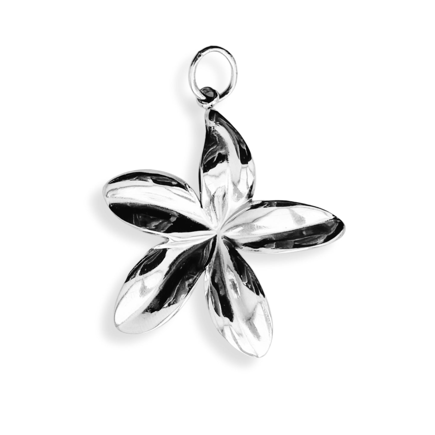 Fleur de Frangipanier