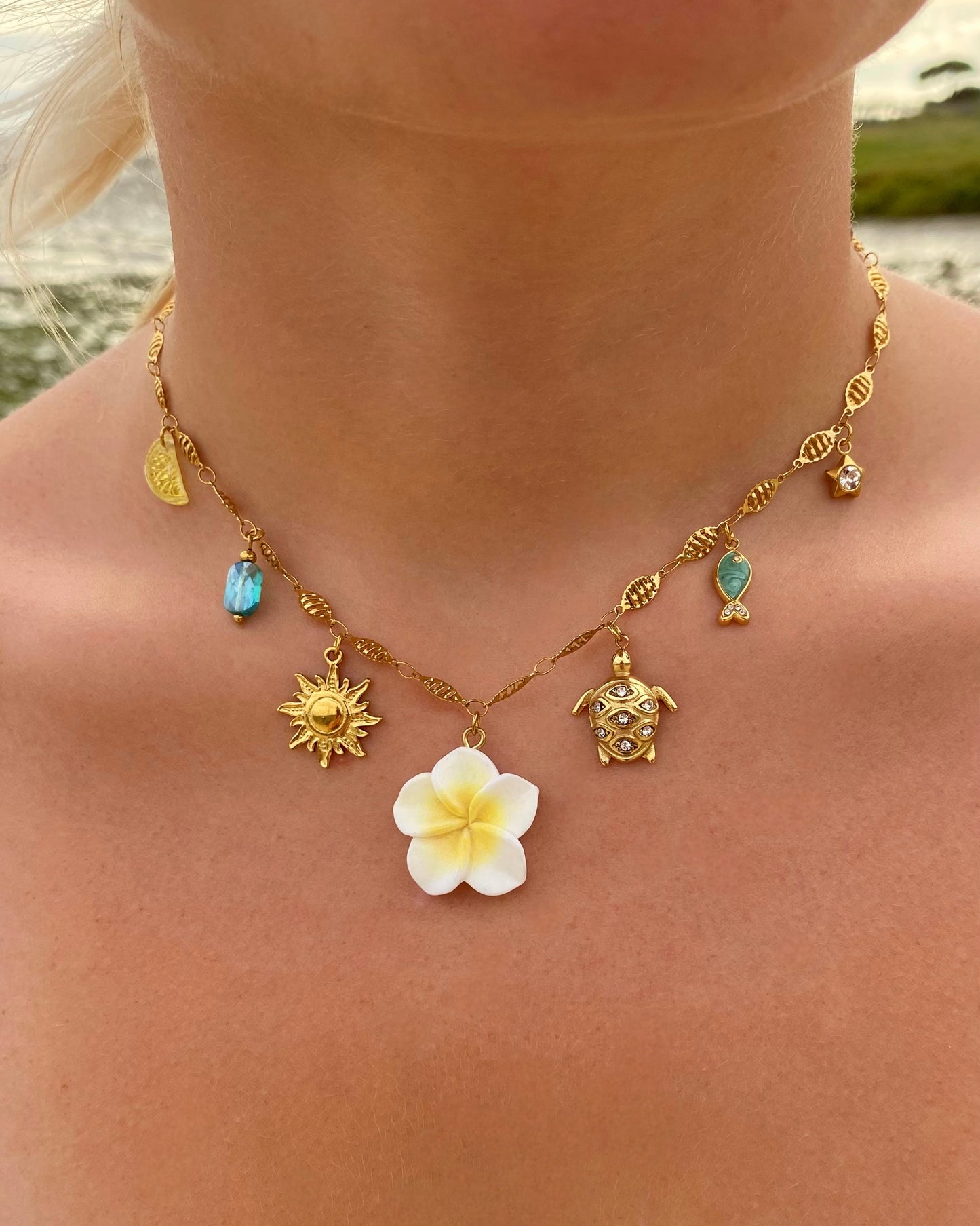 Tortue strass