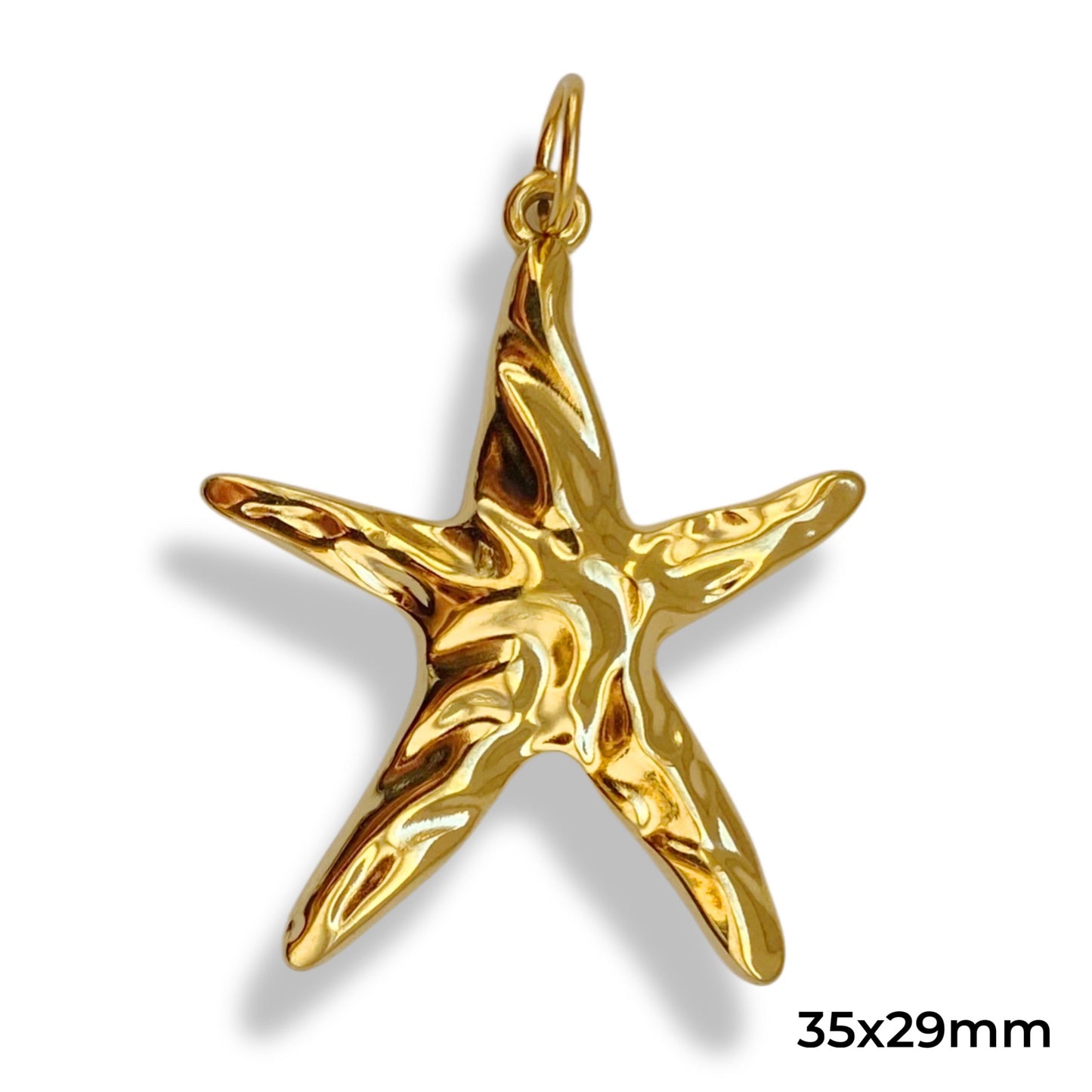 Grande étoile de mer
