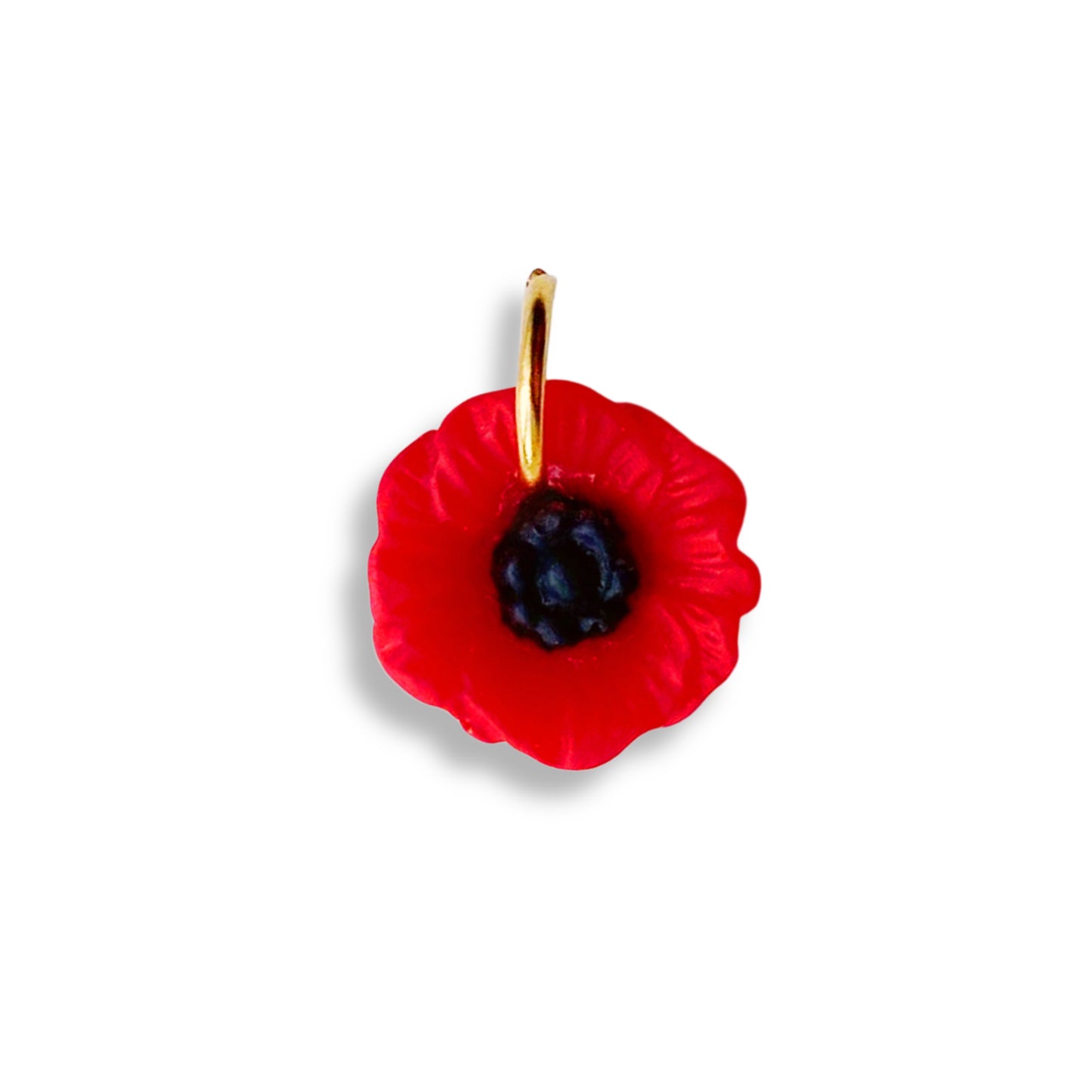 Coquelicot