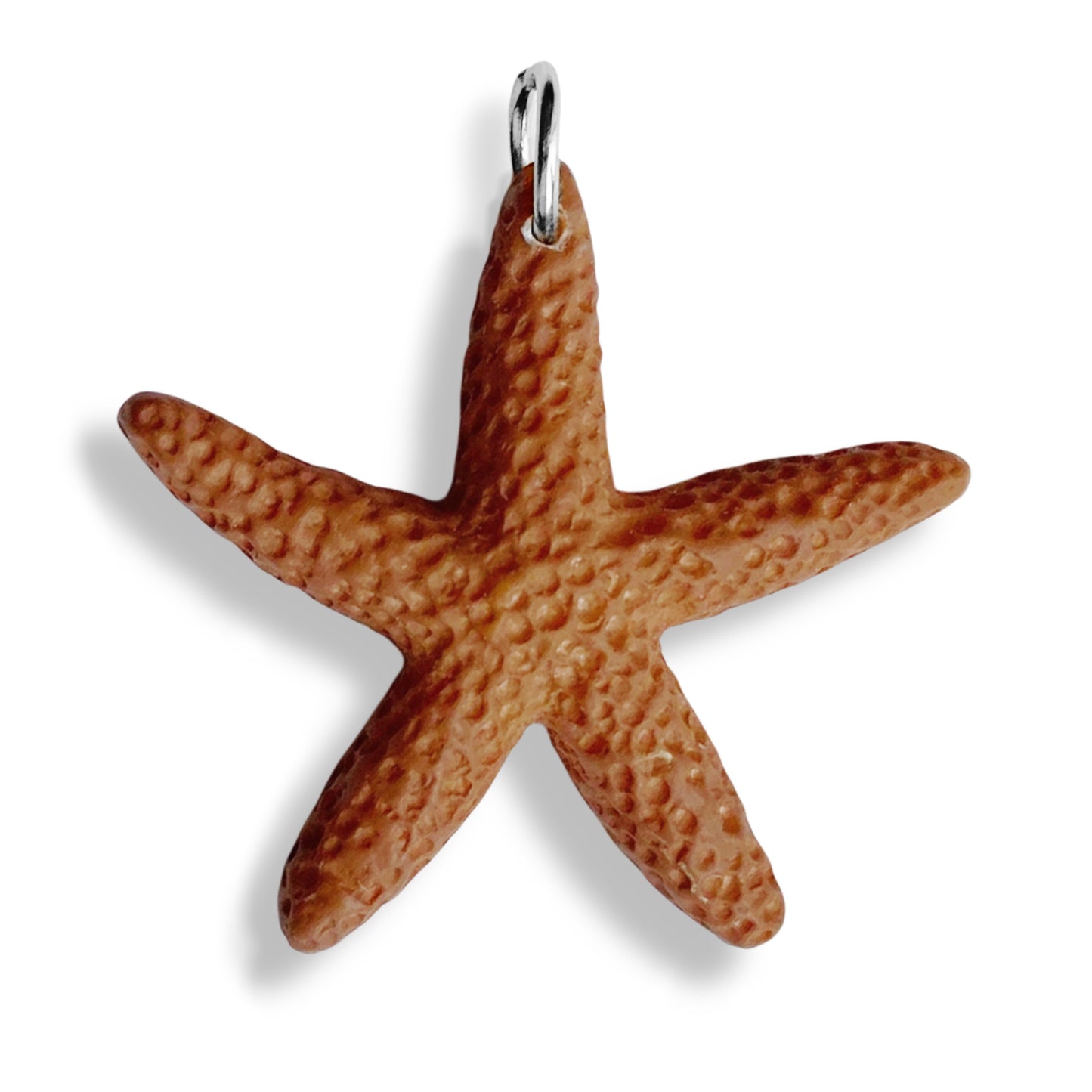 Étoile de mer colorée