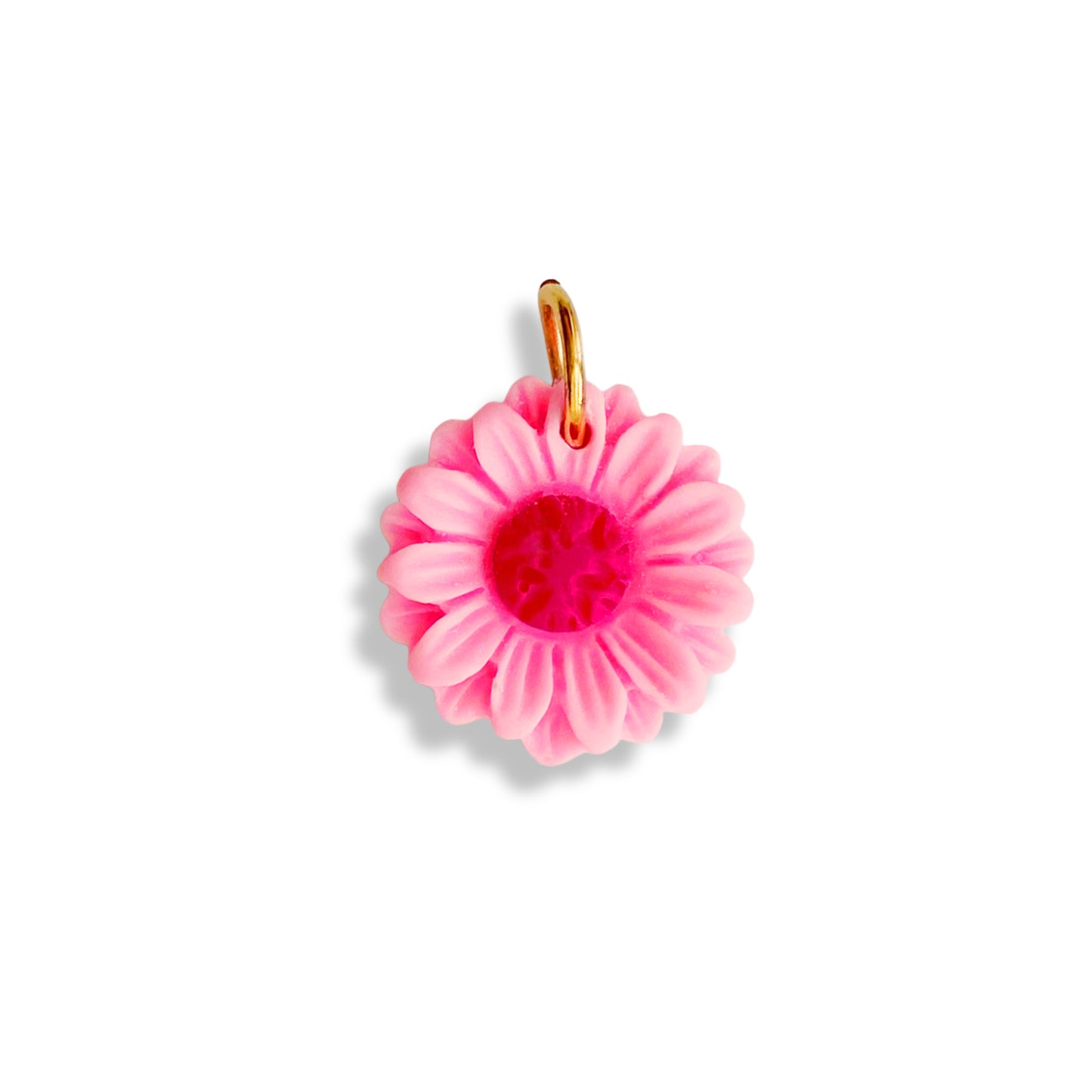 Pâquerette colorée