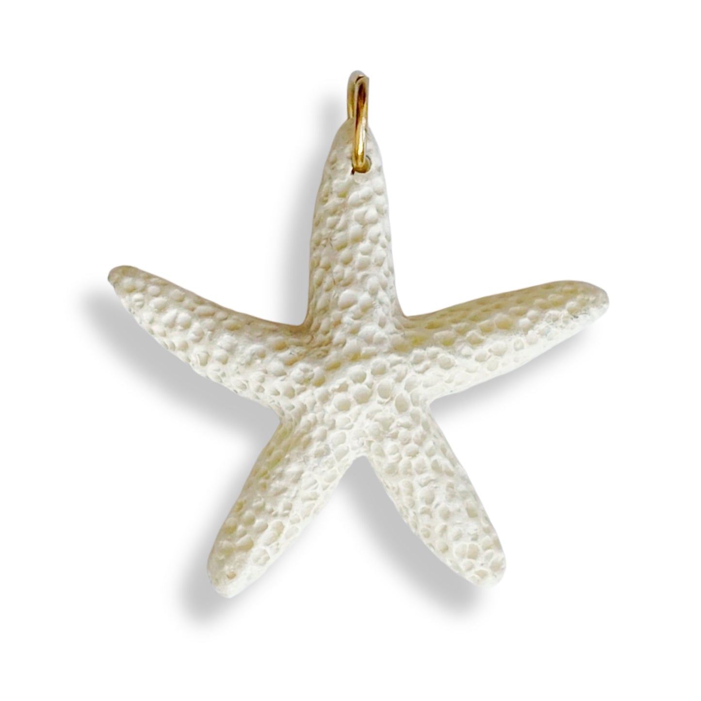 Étoile de mer colorée