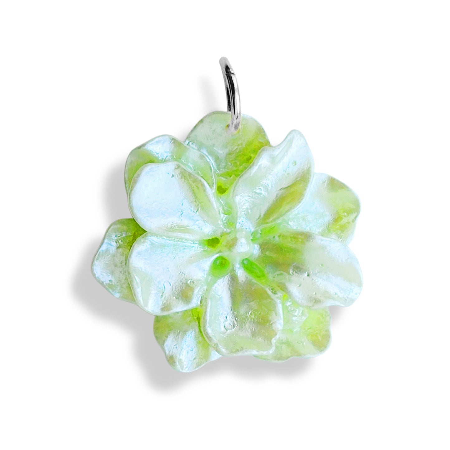 Fleur irisée
