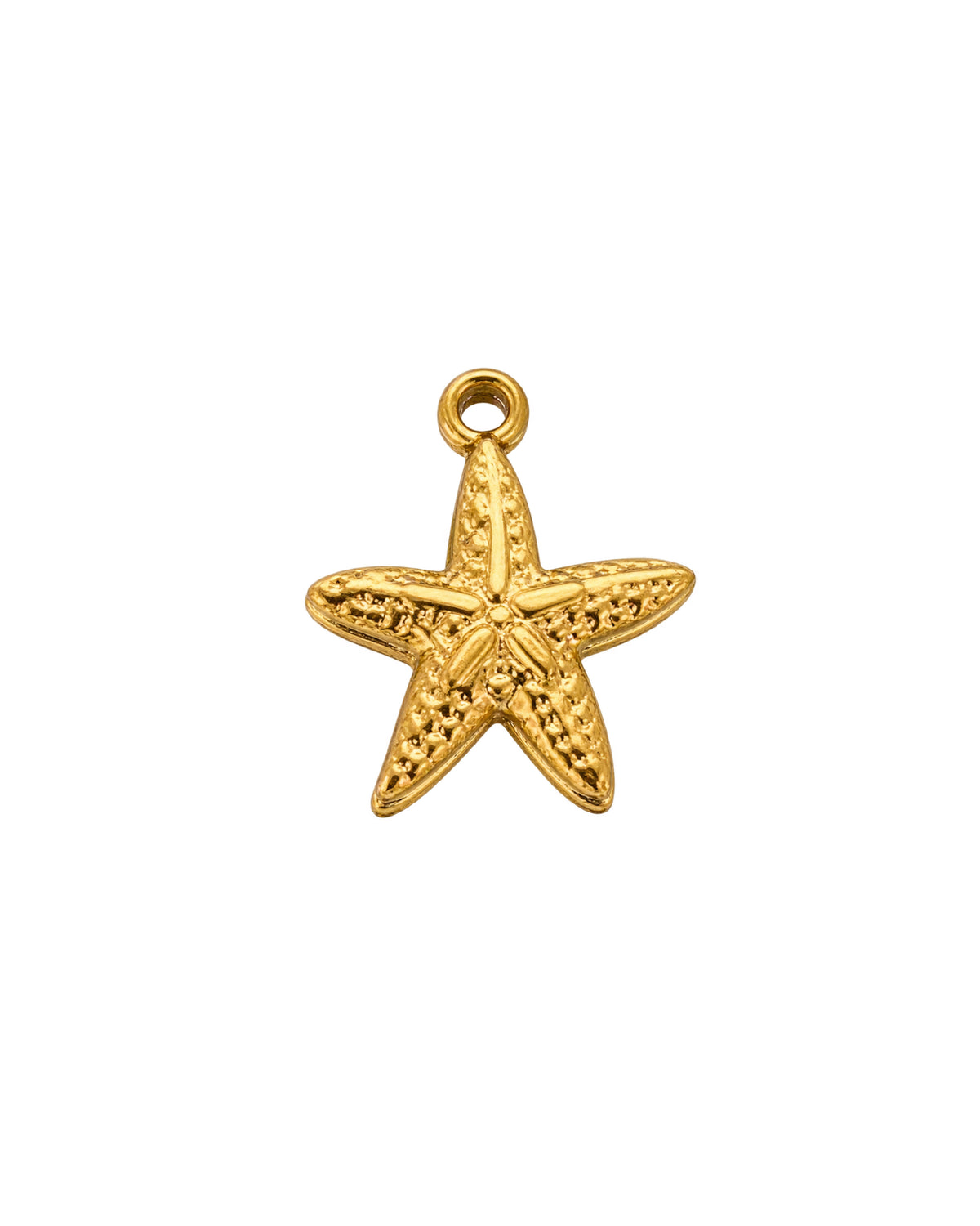Petite étoile de mer