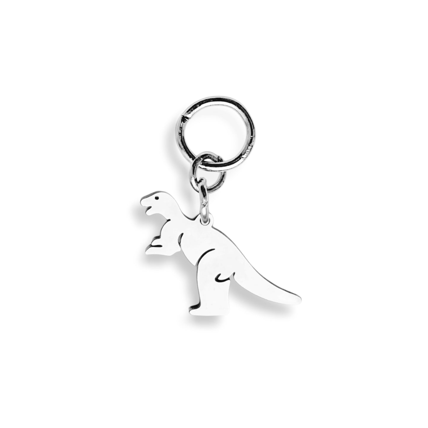 Dinosaure - charm