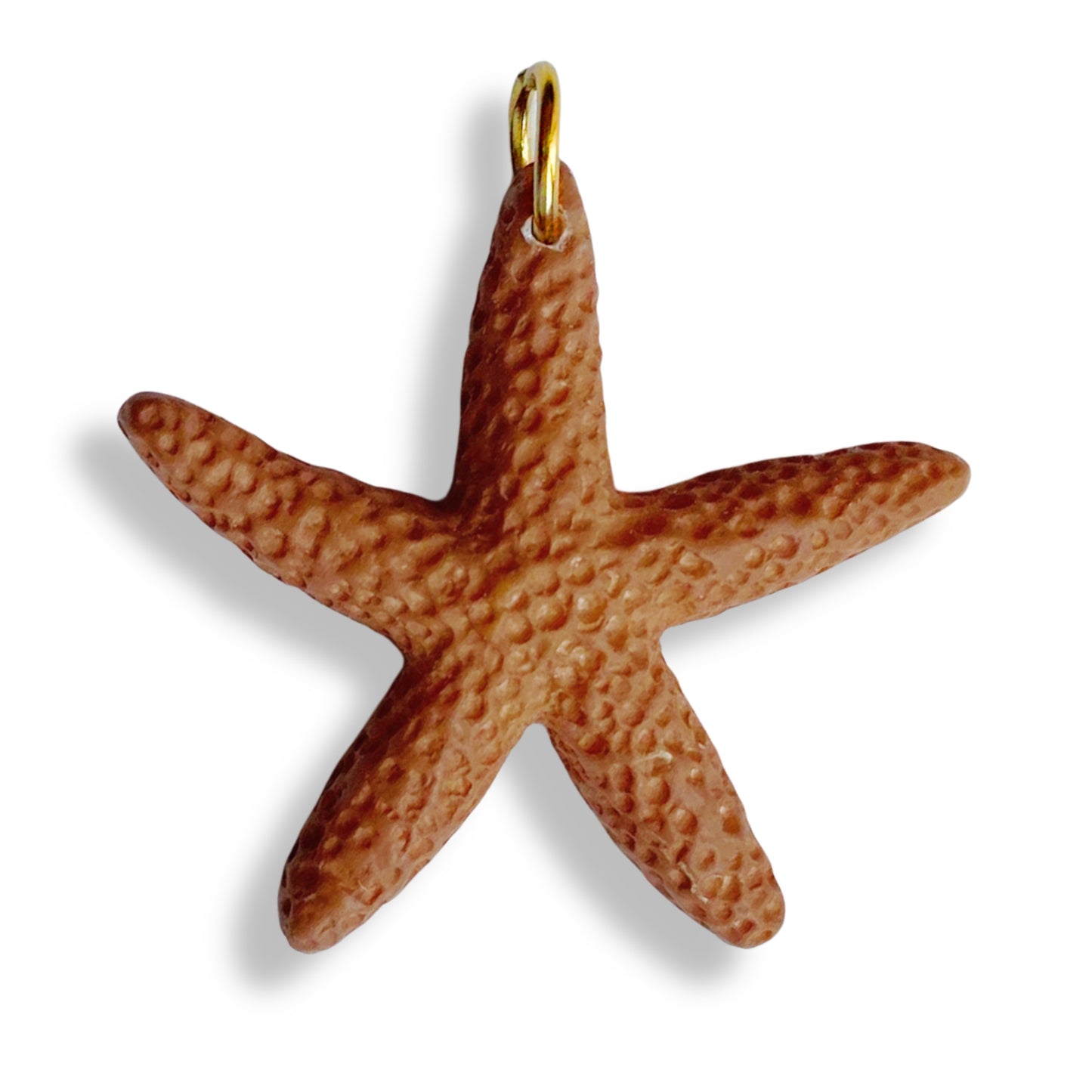 Étoile de mer colorée