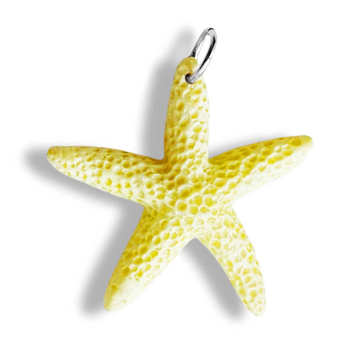 Étoile de mer colorée