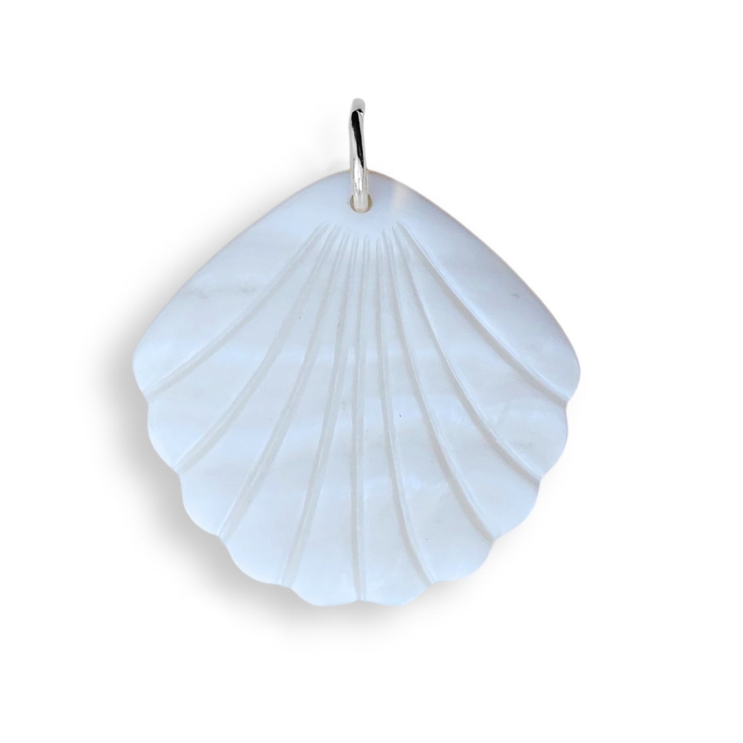 Coquillage en nacre