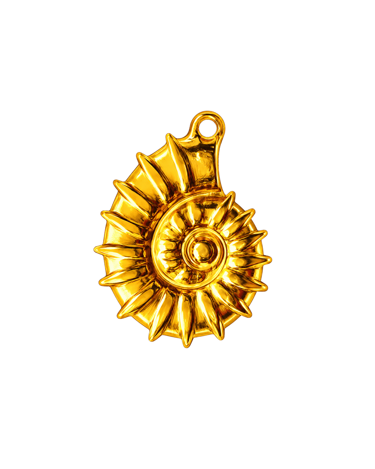 Ammonite