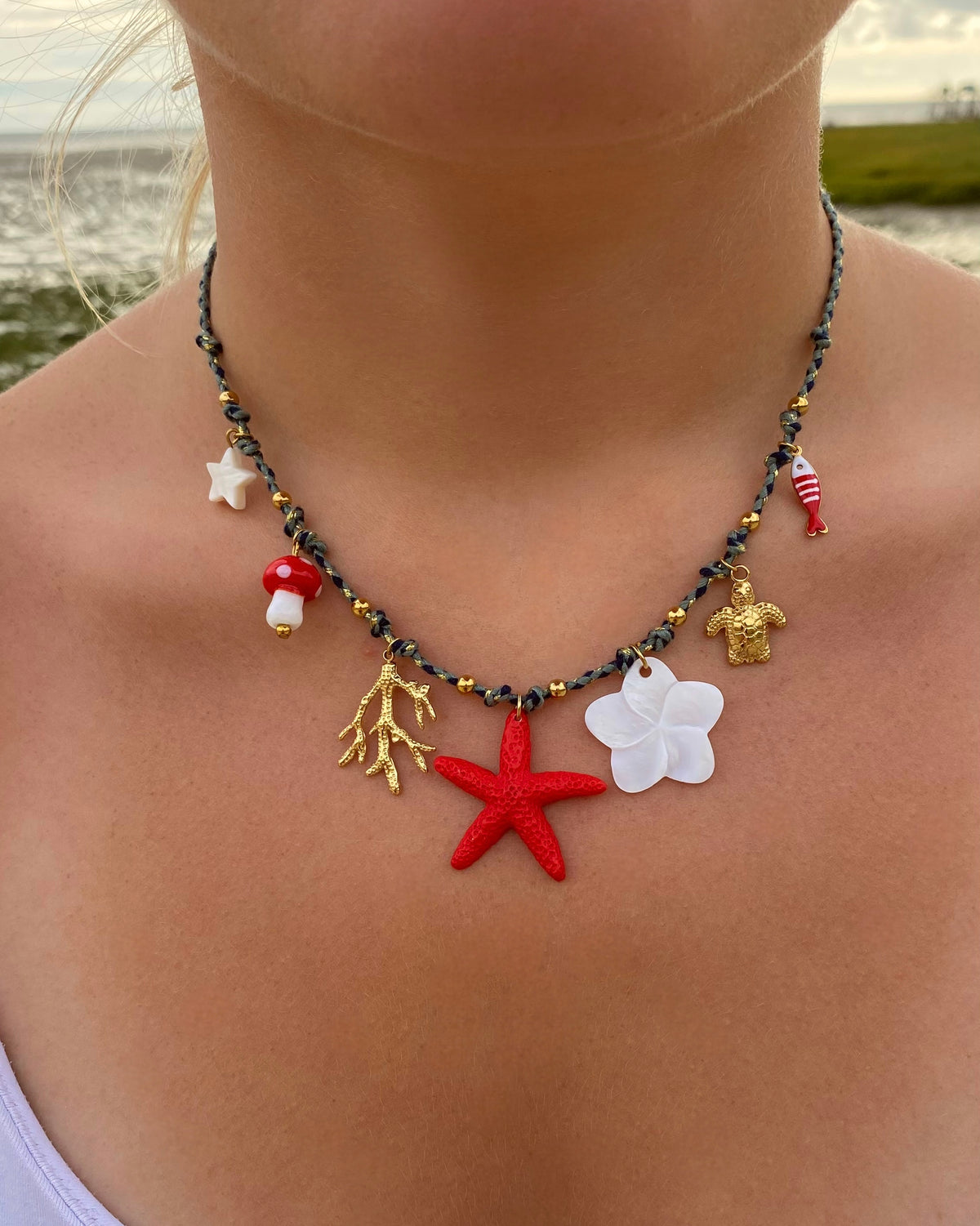 Étoile de mer colorée
