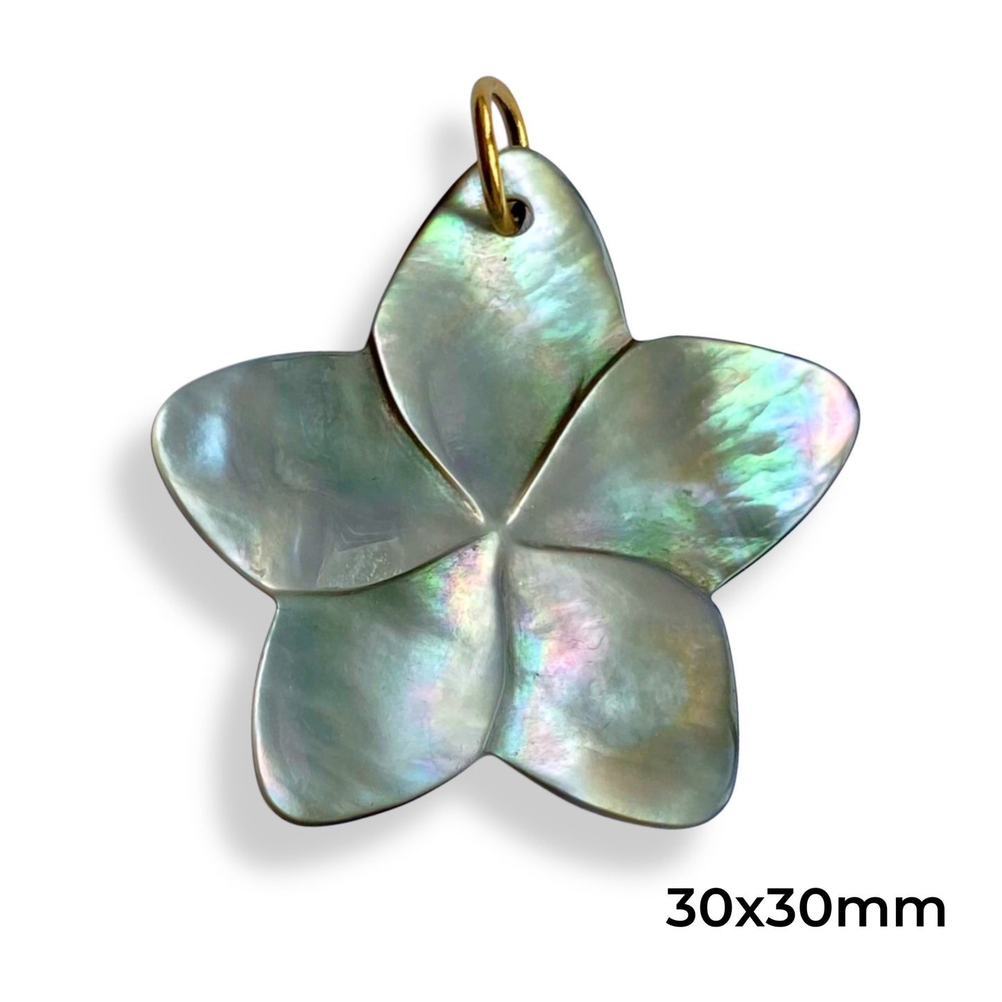 Fleur de nacre grise