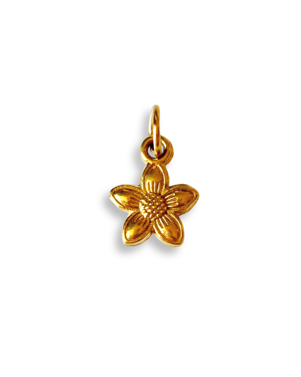 Petite fleur