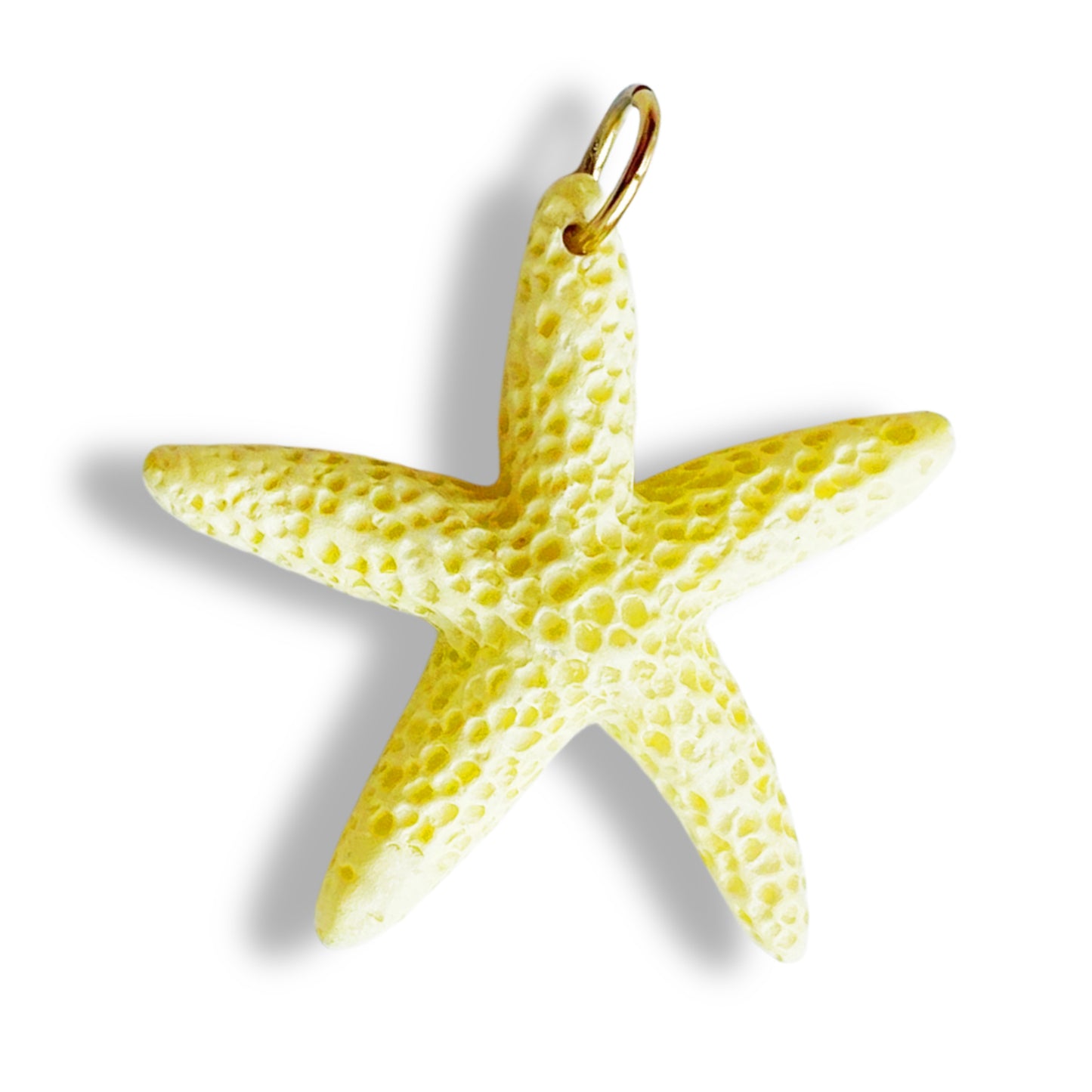 Étoile de mer colorée