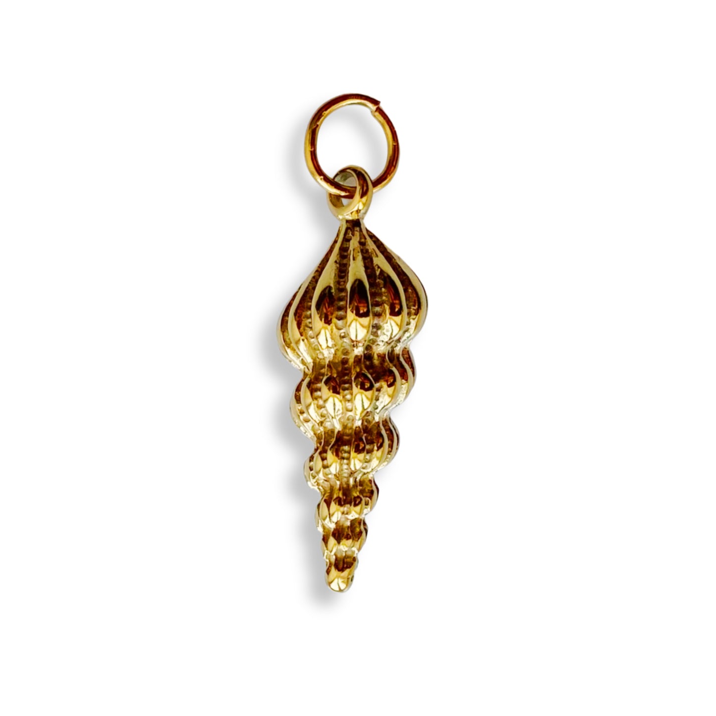 Coquillage tourbillon