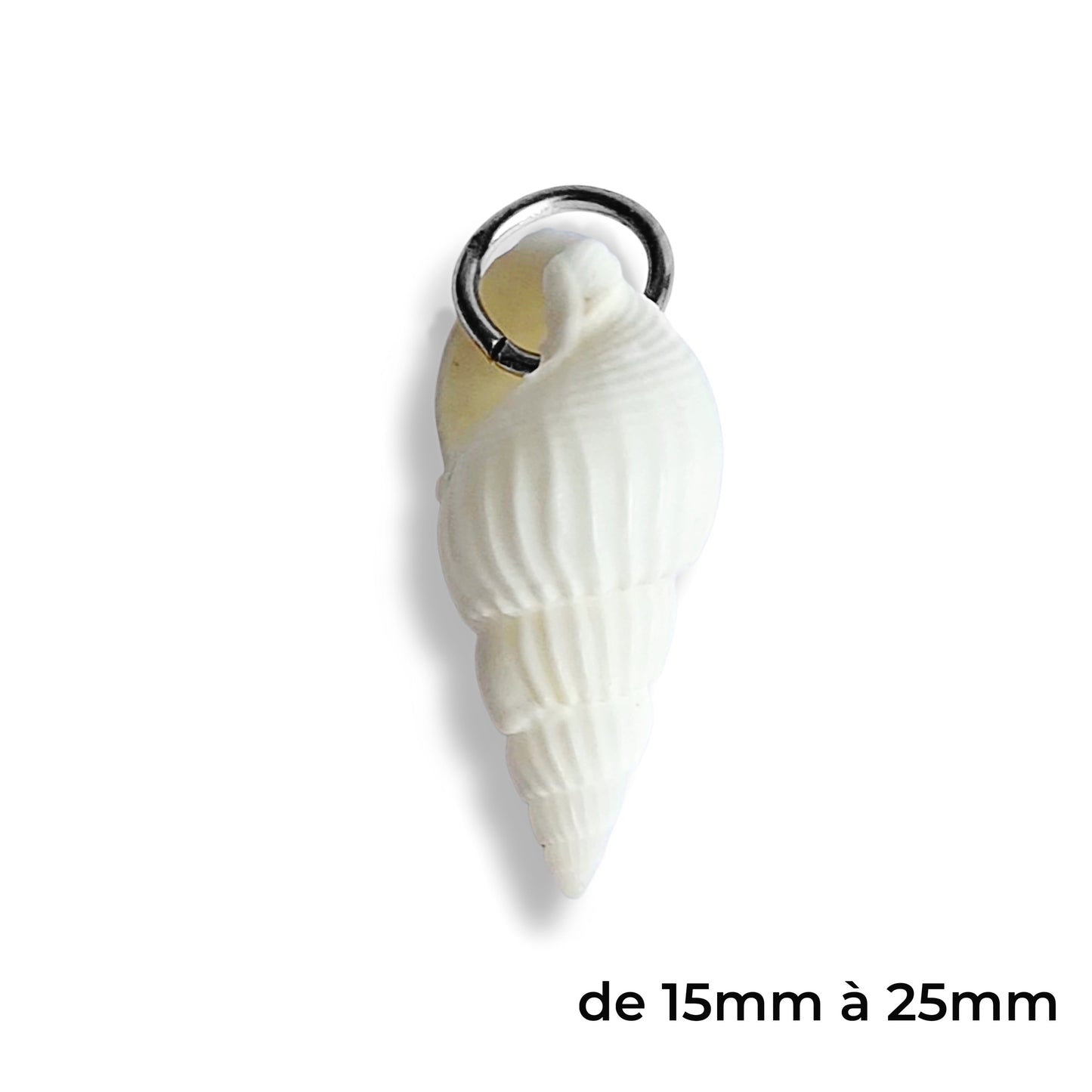 Grand coquillage