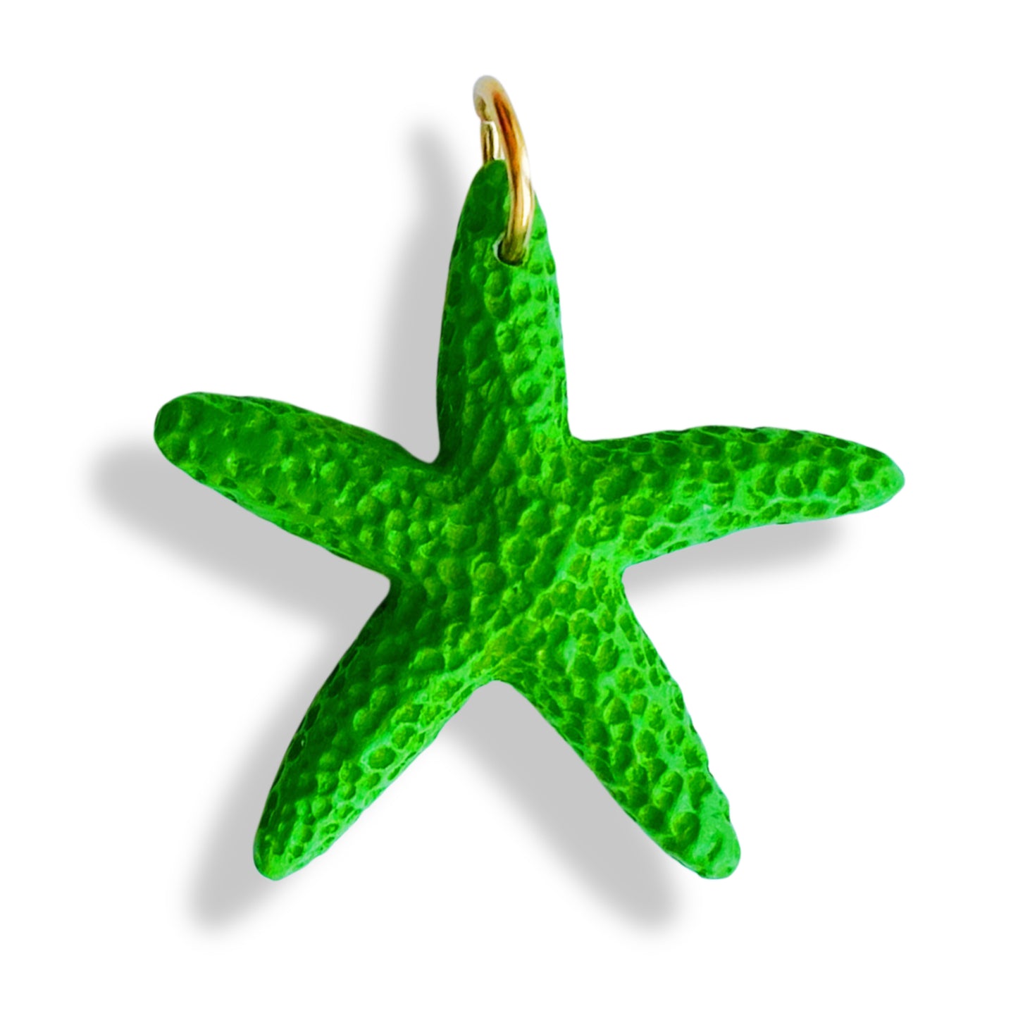 Étoile de mer colorée
