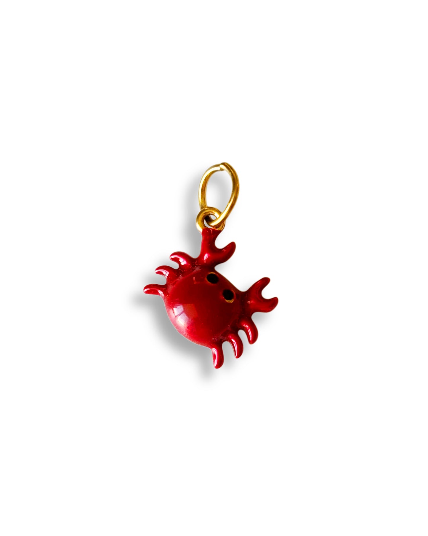 Petit crabe