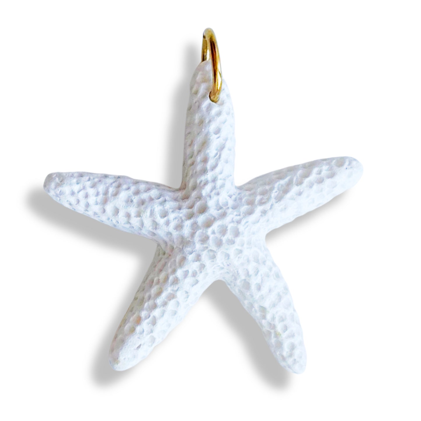 Étoile de mer colorée