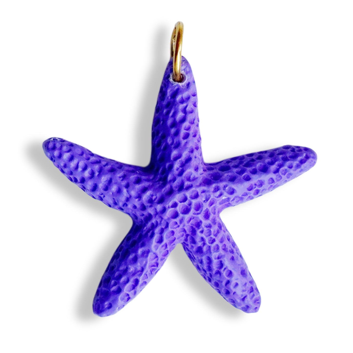 Étoile de mer colorée