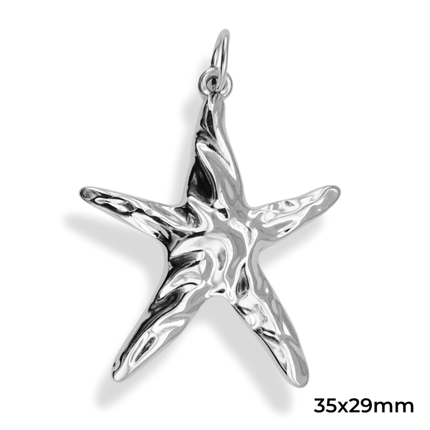 Grande étoile de mer