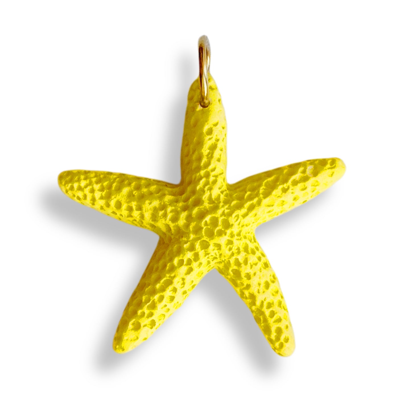 Étoile de mer colorée