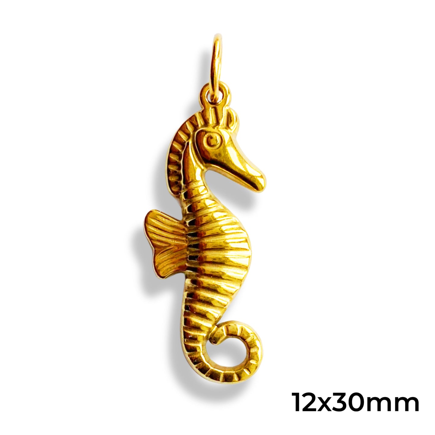 Hippocampe