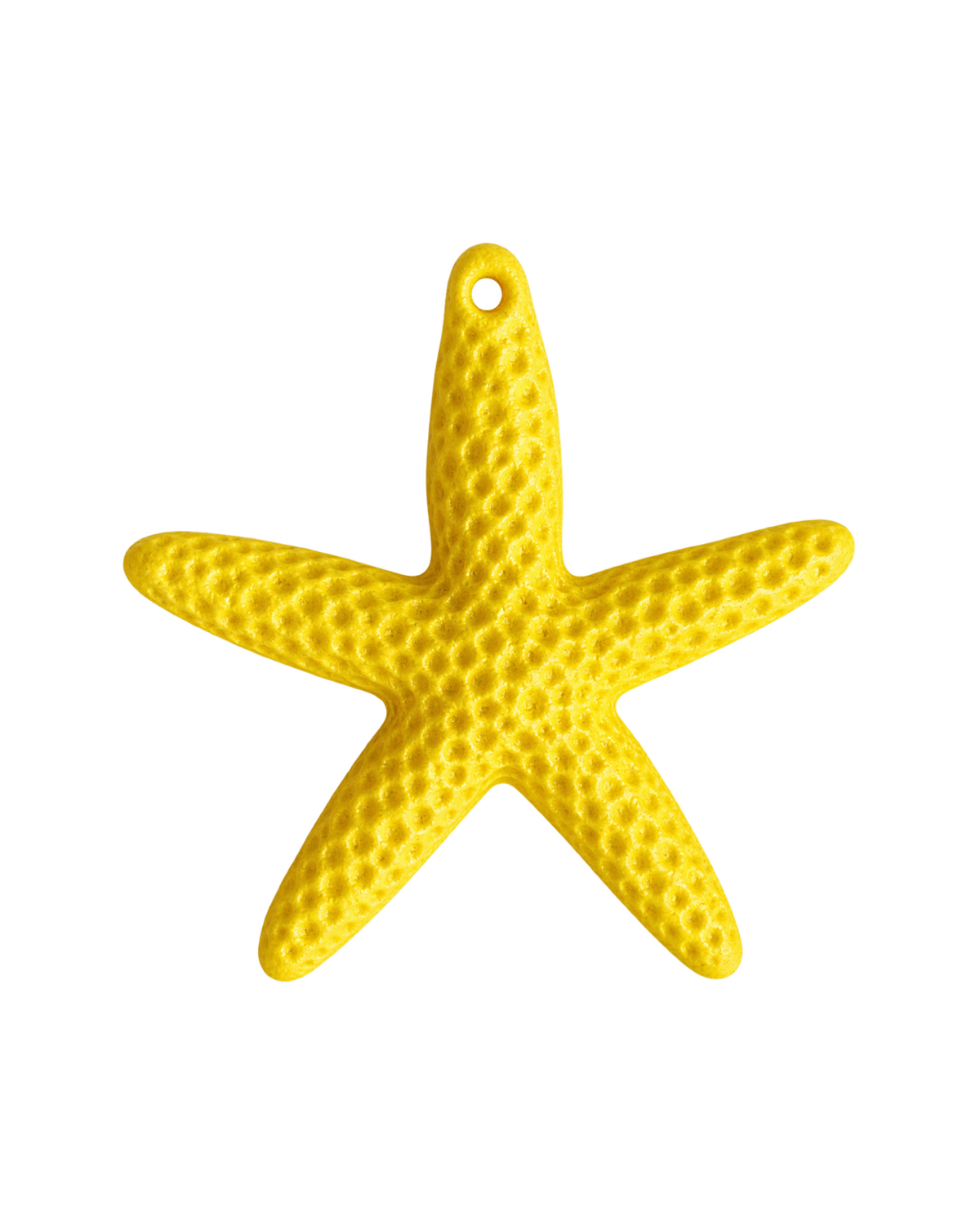 Étoile de mer colorée