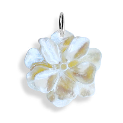 Fleur irisée