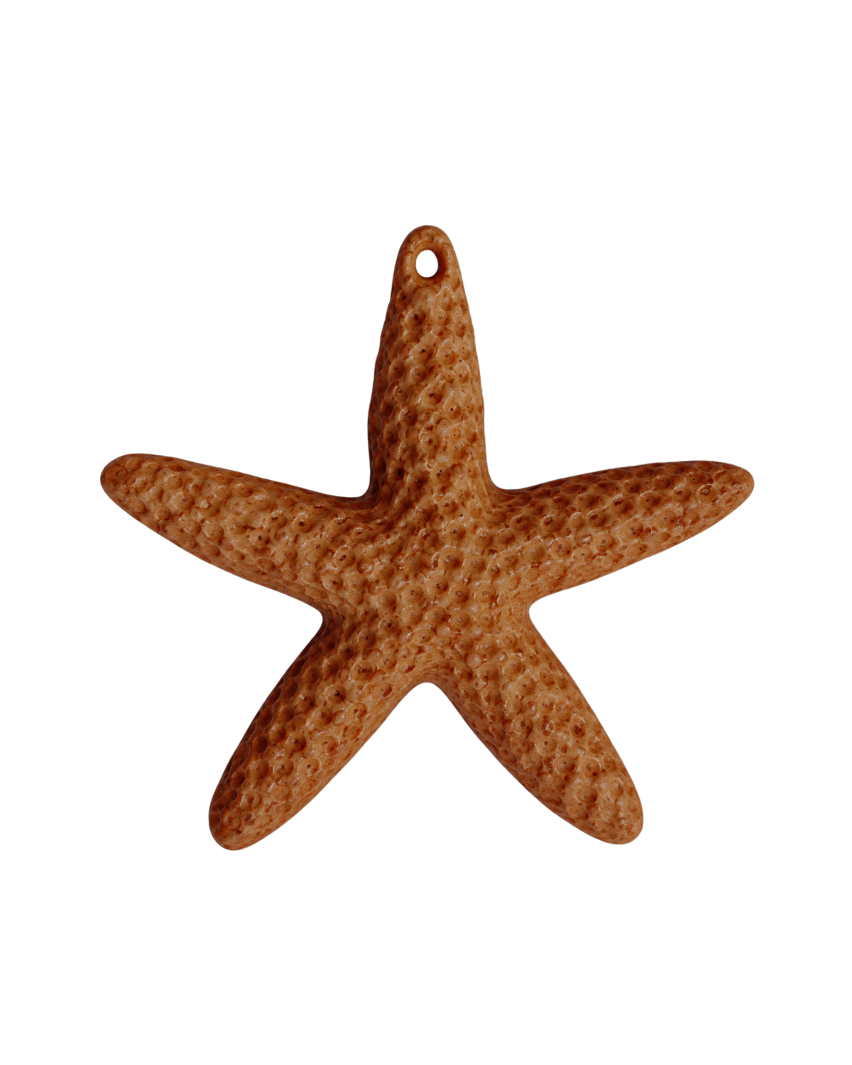 Étoile de mer colorée