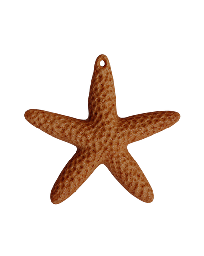Étoile de mer colorée