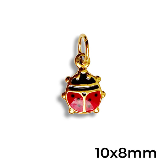 Coccinelle