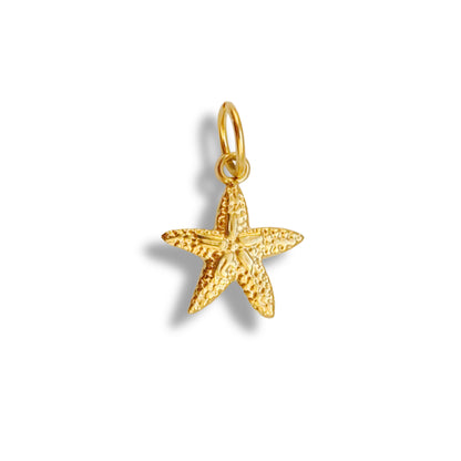 Petite étoile de mer