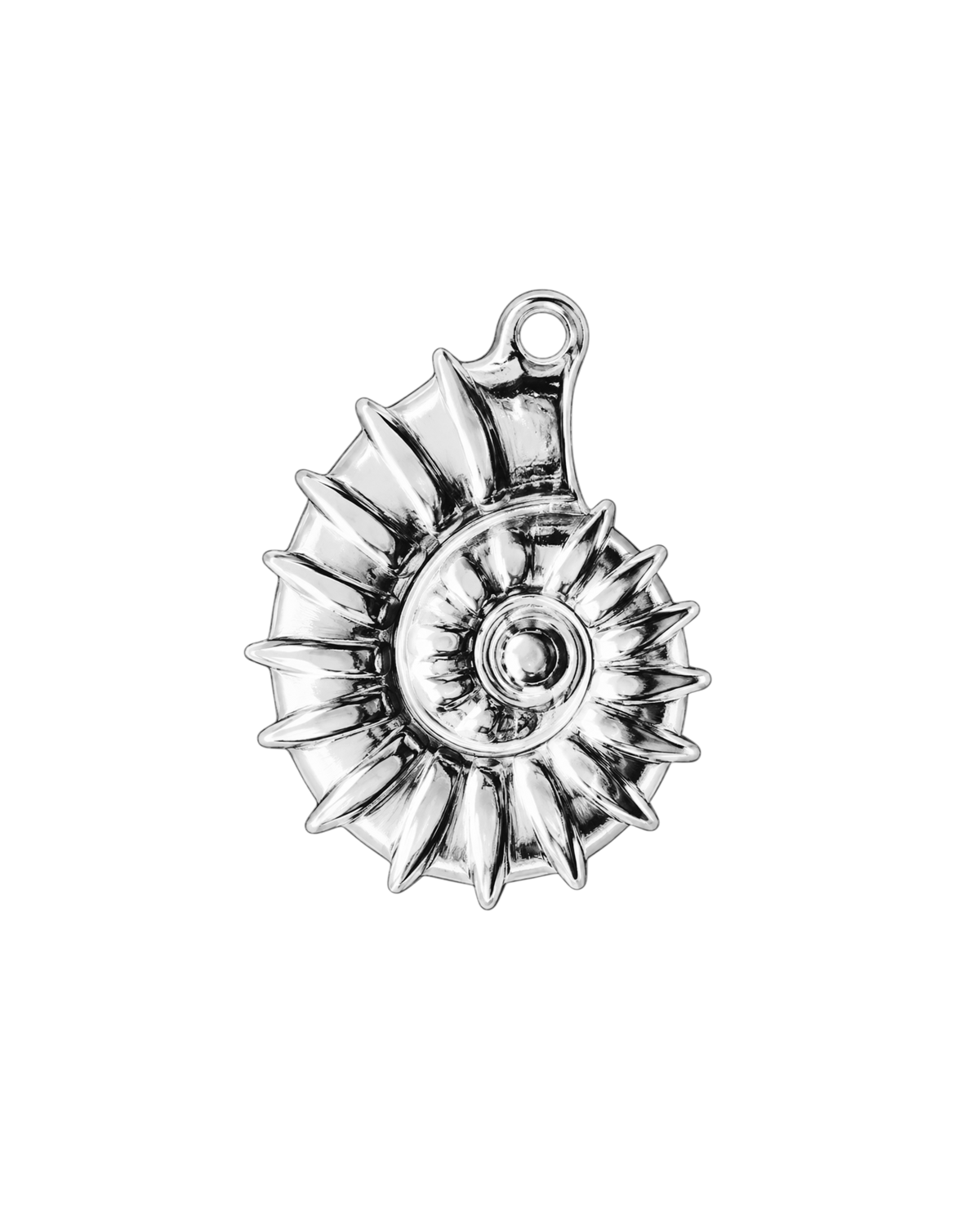 Ammonite