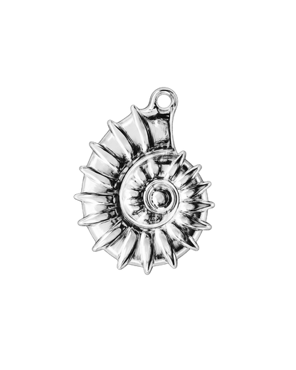 Ammonite