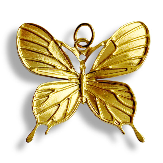 Grand papillon - charm