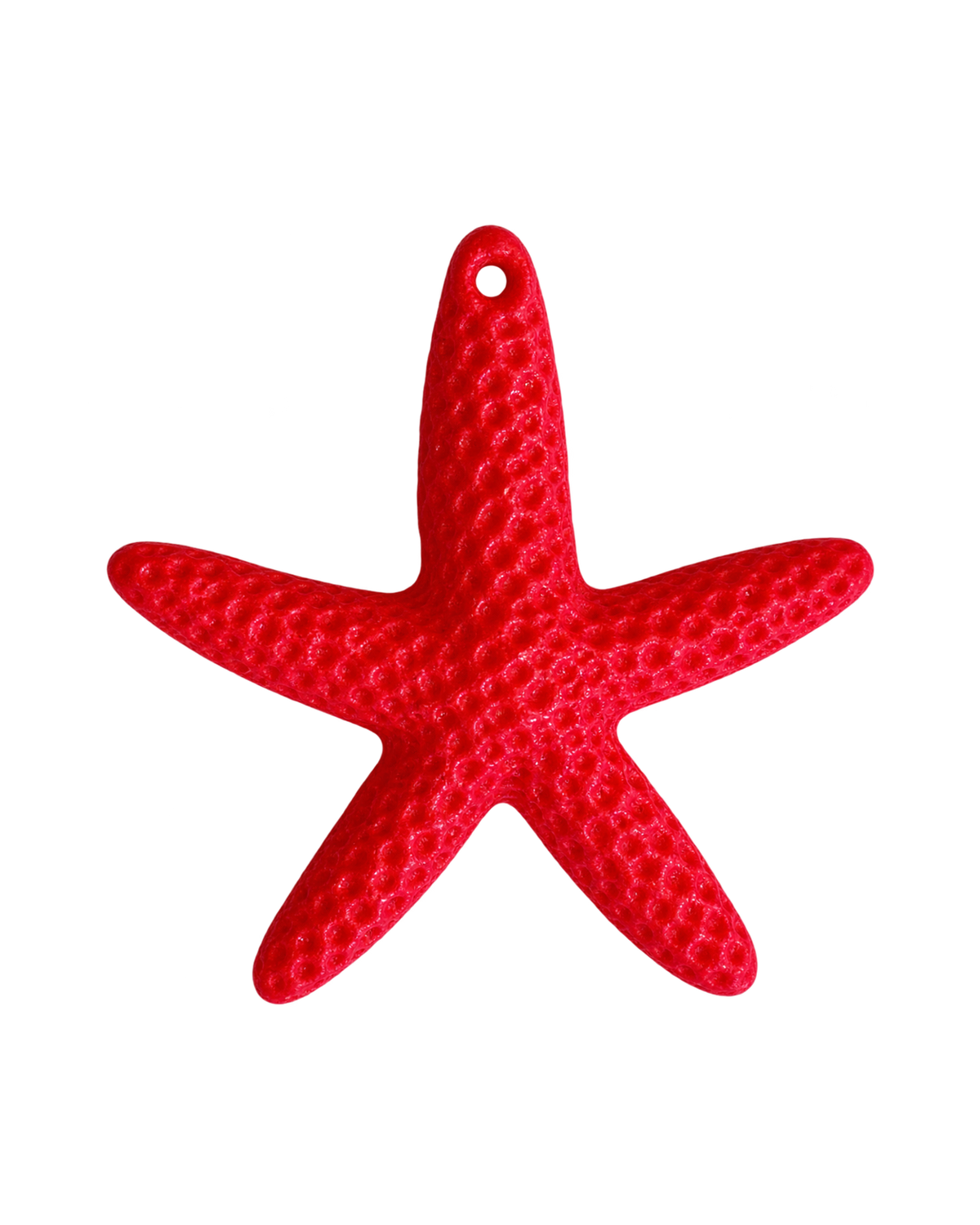 Étoile de mer colorée