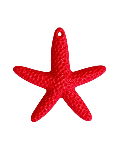 Étoile de mer colorée