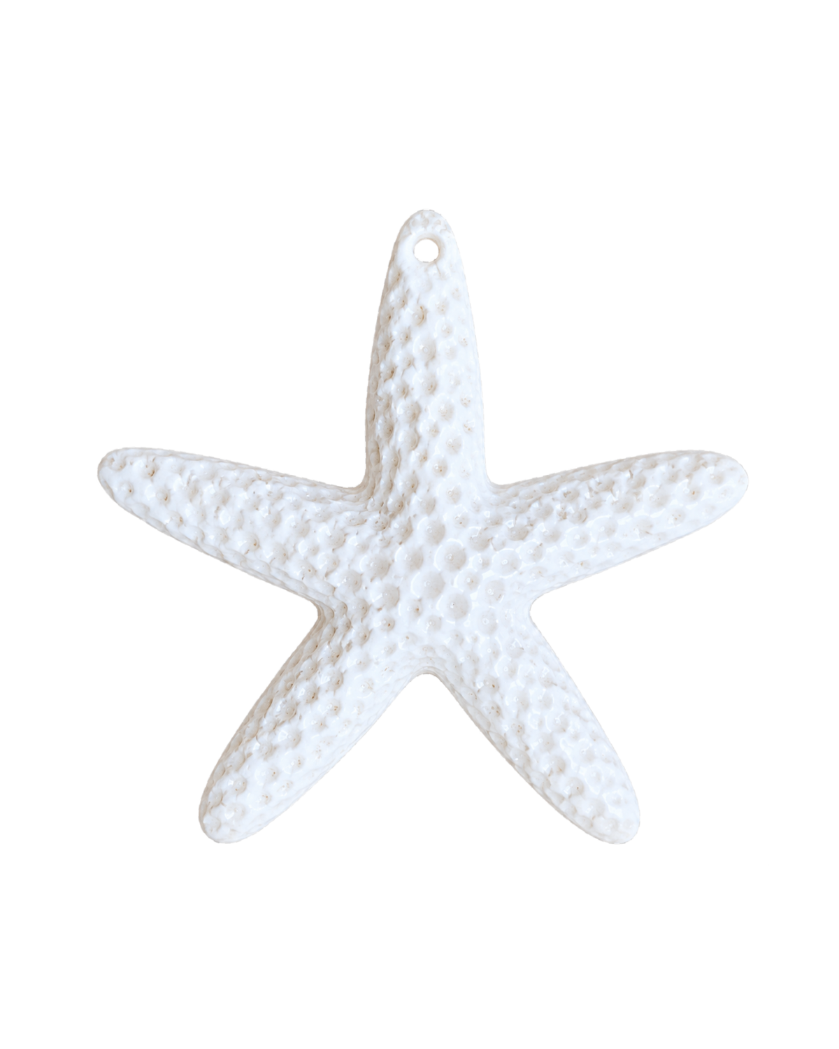 Étoile de mer colorée