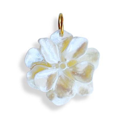Fleur irisée
