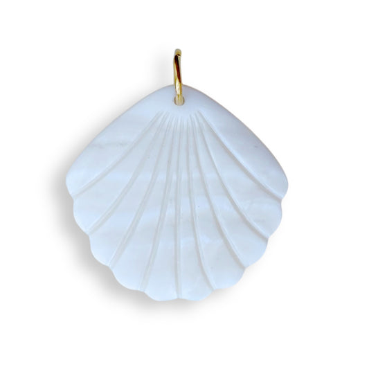 Coquillage en nacre