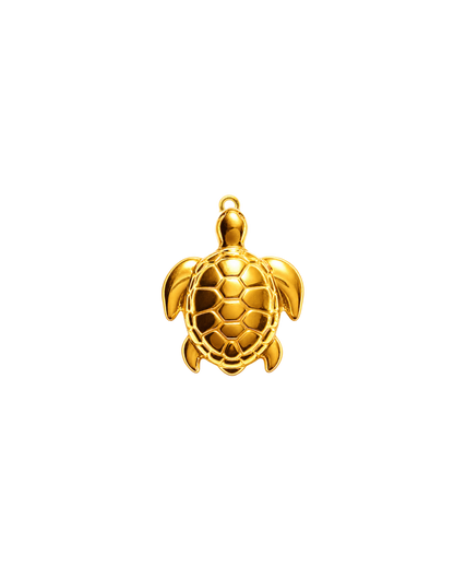 Petite tortue