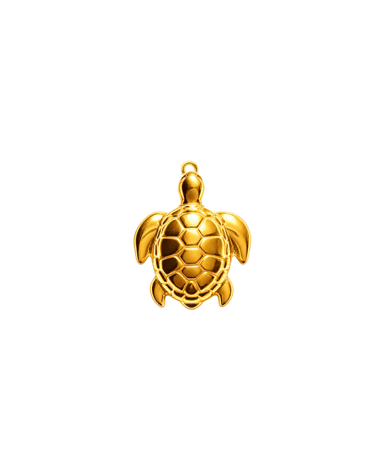 Petite tortue