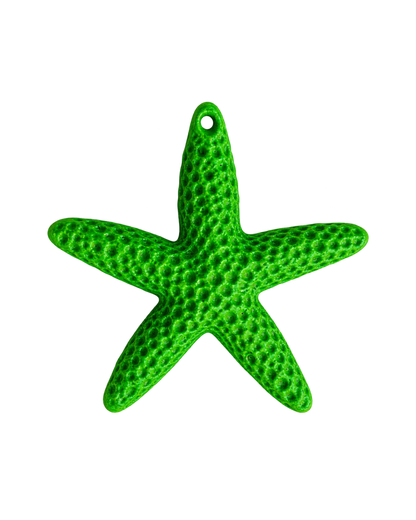 Étoile de mer colorée