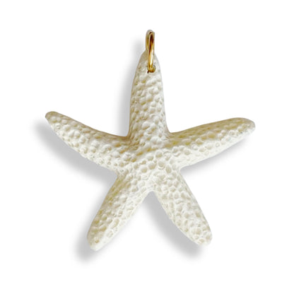 Étoile de mer colorée