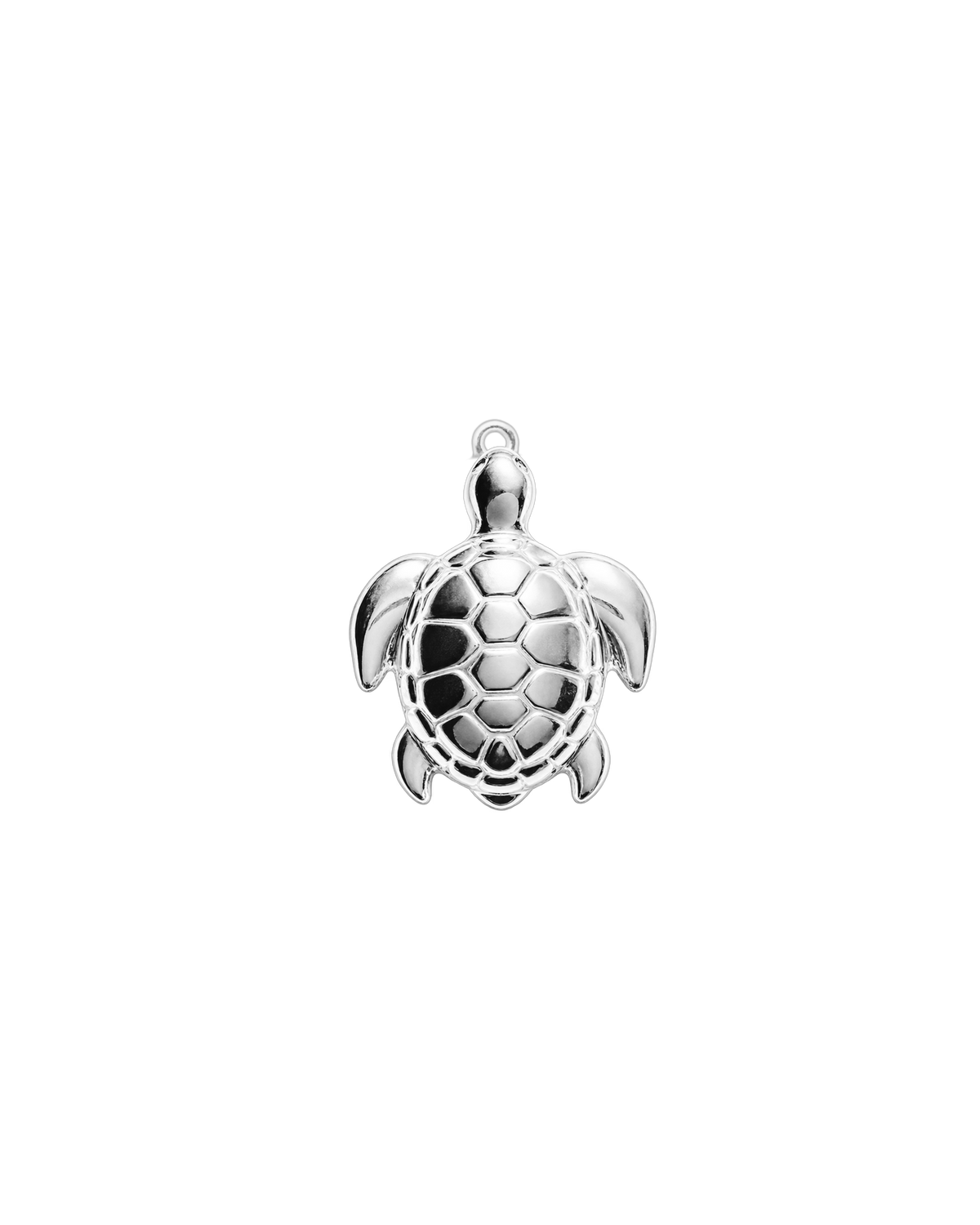 Petite tortue