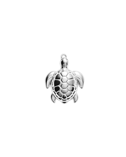 Petite tortue