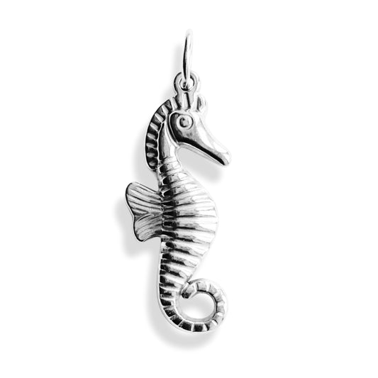 Hippocampe - charm